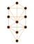 B.O.T.A. Tree of Life